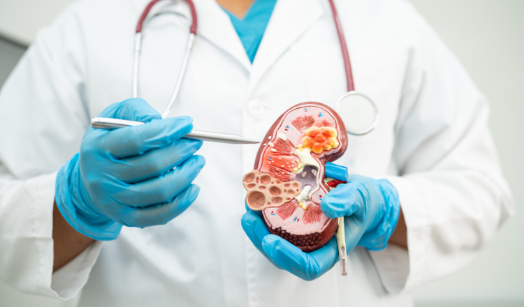 Quando procurar um Urologista e por que o acompanhamento regular é importante?